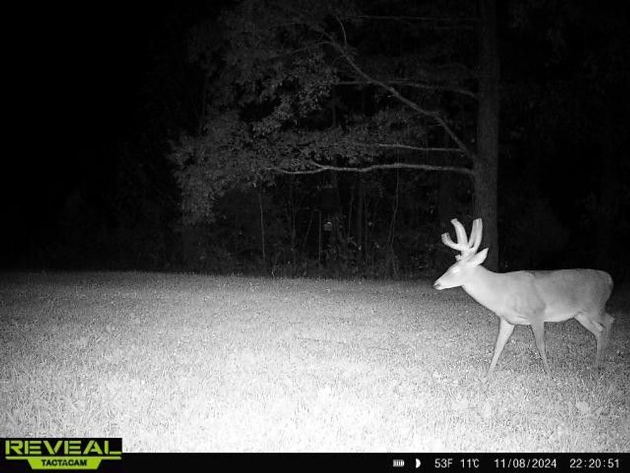 Property Image 81