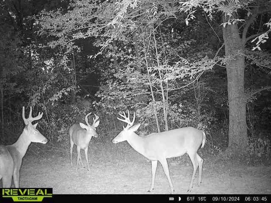 Property Image 83