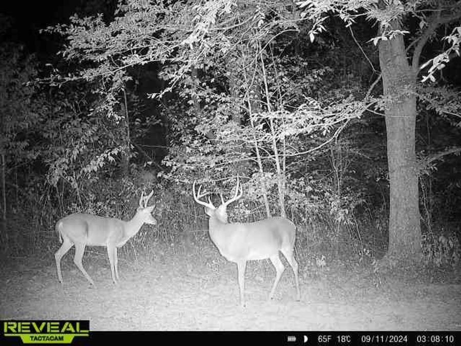 Property Image 84