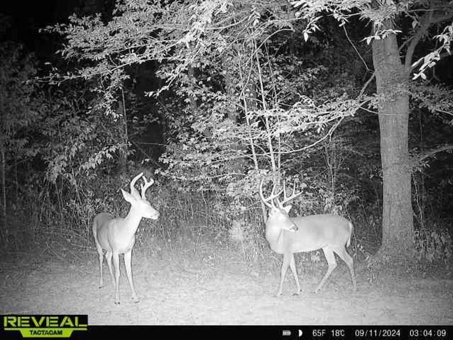 Property Image 94