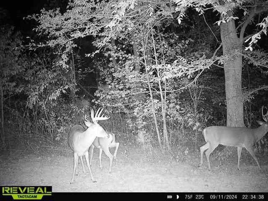 Property Image 95