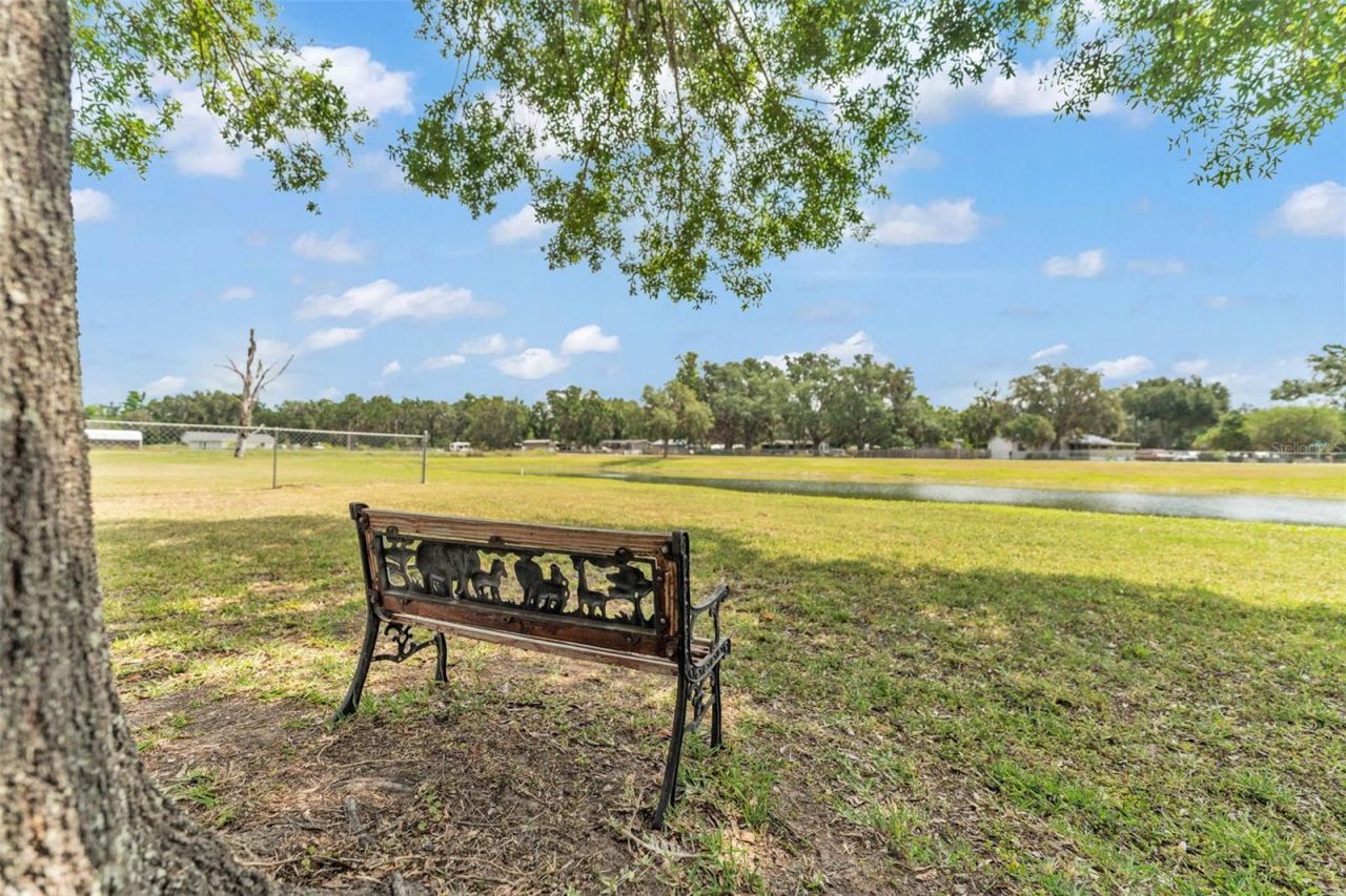 8904 Carrolwood Drive, Lakeland, FL 33810 Photo