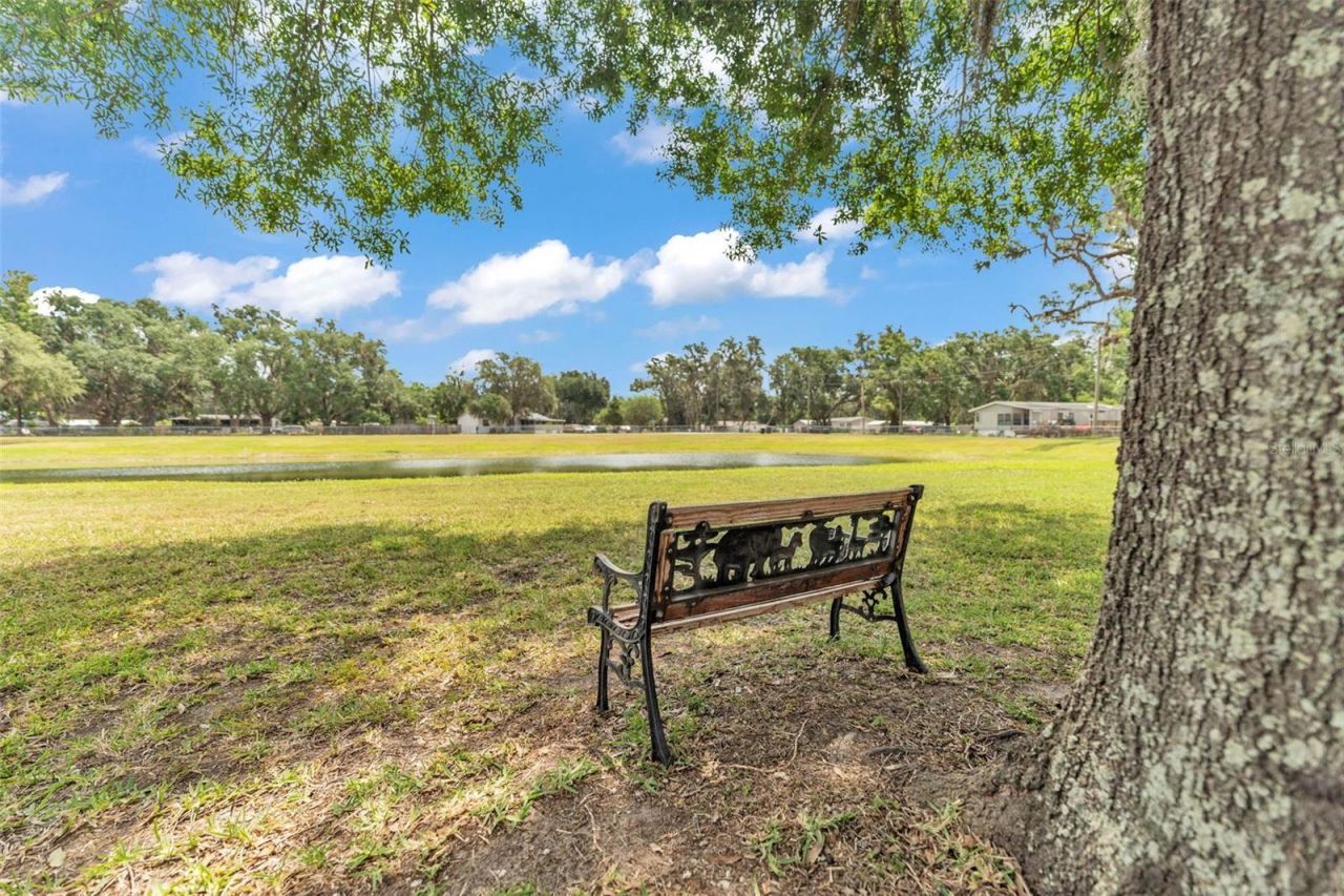 8904 Carrolwood Drive, Lakeland, FL 33810 Photo