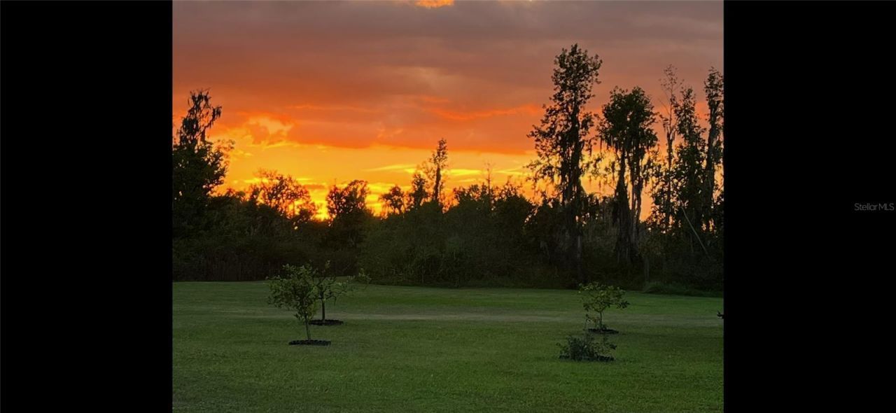 8904 Carrolwood Drive, Lakeland, FL 33810 Photo