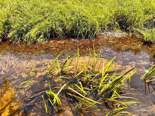 Lot 95 Turning Leaf Rd, Jay, FL 32565