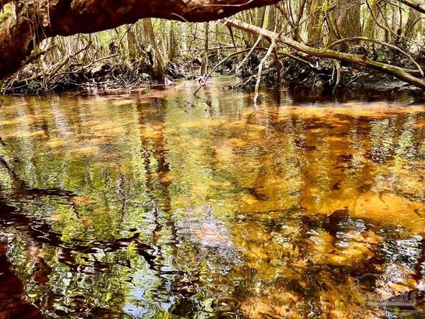 Lot 96 Turning Leaf Rd, Jay, FL 32565