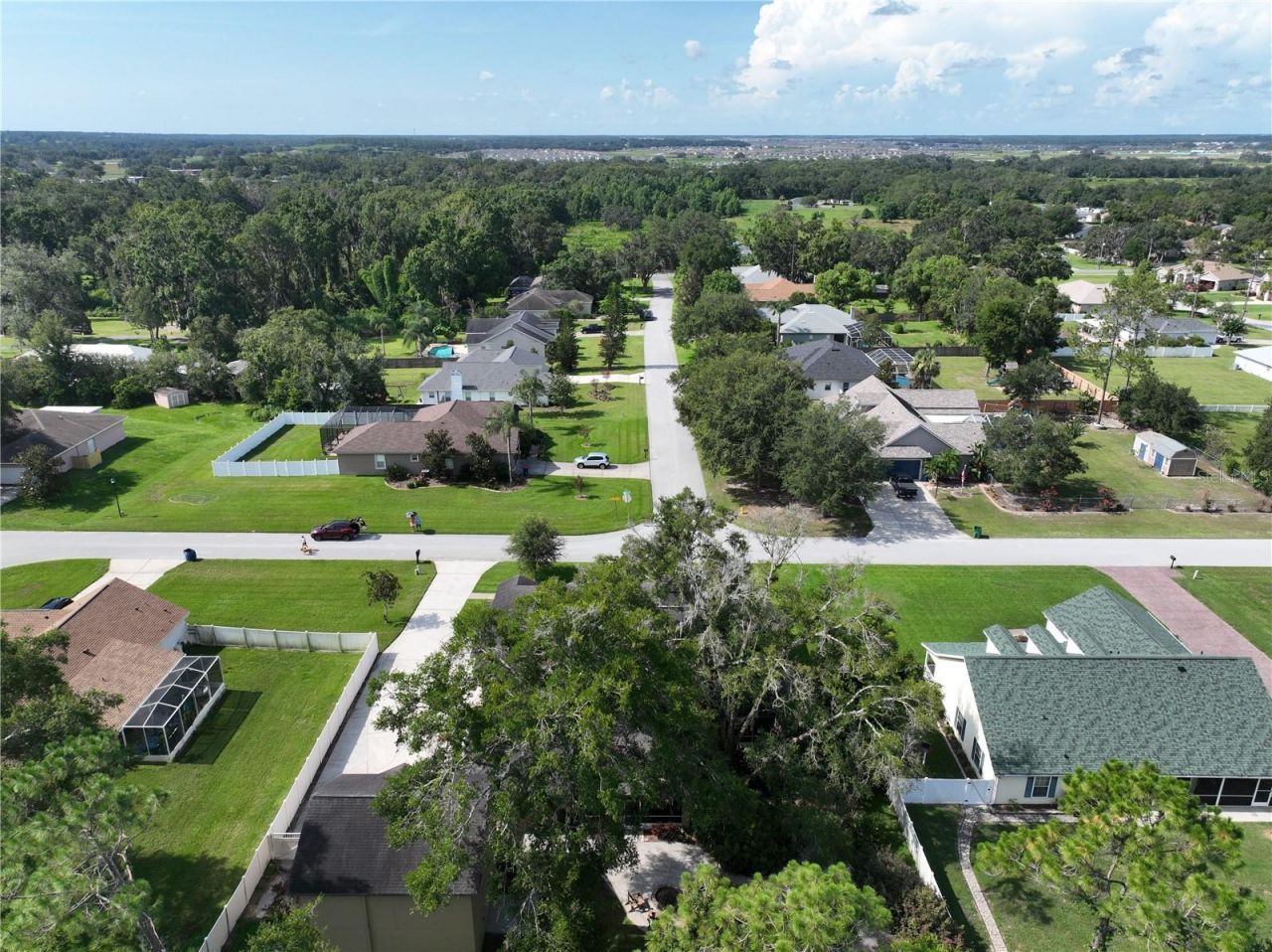 32449 Laurel Court, San Antonio, FL 33576 Photo