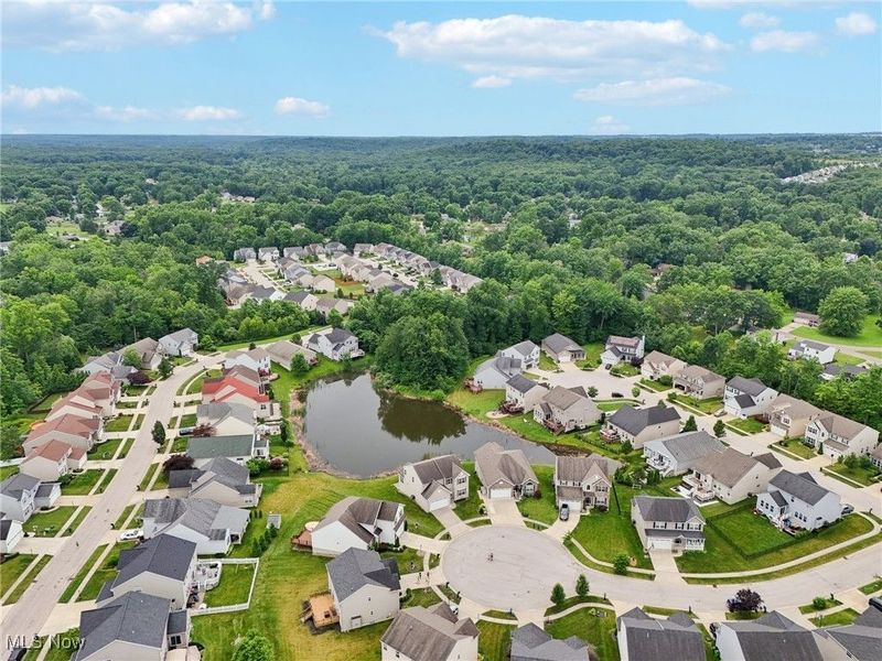 3660 Ivy Court, Aurora, OH 44202 Photo 42