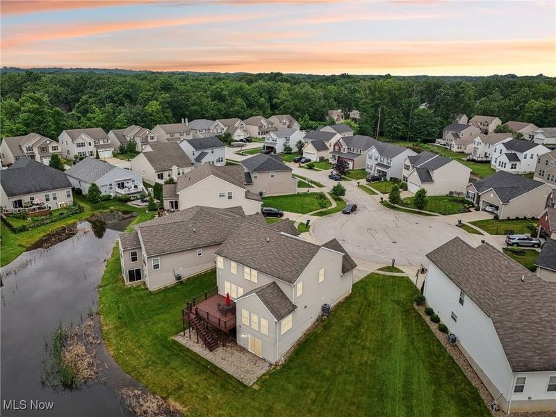 3660 Ivy Court, Aurora, OH 44202 Photo 46