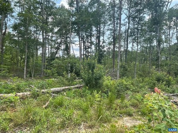 PASSANTE SR LN, Unit 10 68, GORDONSVILLE, VA 22942