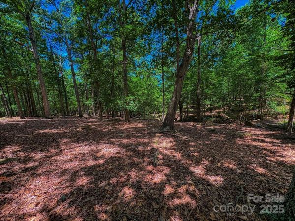 1560 Rocky Cove Lane, Denton, NC 27239