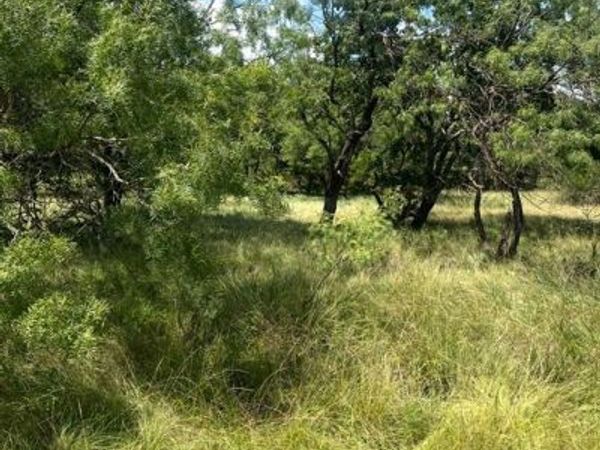 Lot 591 S Lakeside Drive, May, TX 76857