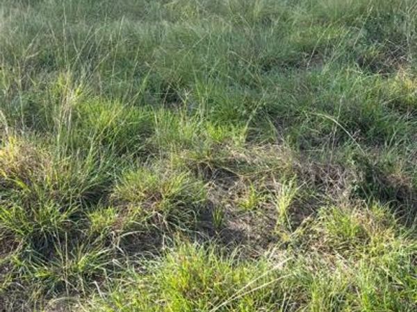 Lot 654 S Lakeside Drive, May, TX 76857