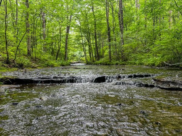 0 Catheys Creek Road, Hampshire, TN 38461