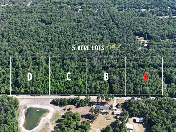 Par A W Almy Road, Howard City, MI 49329