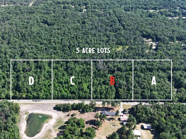 Par B W Almy Road, Howard City, MI 49329