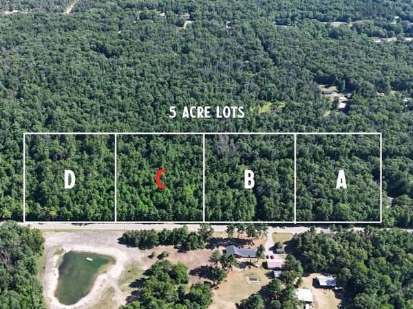 Par C W Almy Road, Howard City, MI 49329