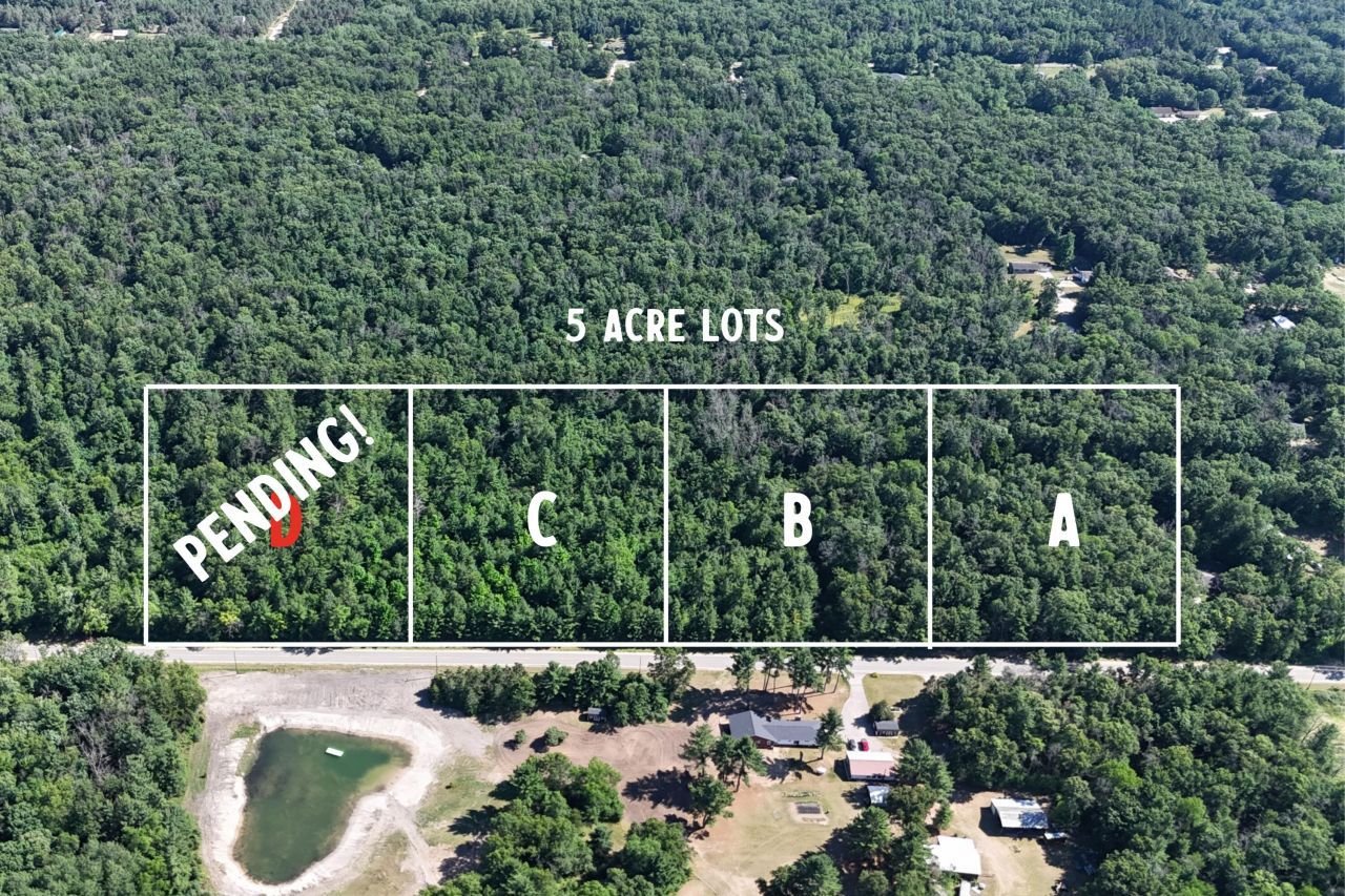 Par D W Almy Road, Howard City, MI 49329 Main Photo