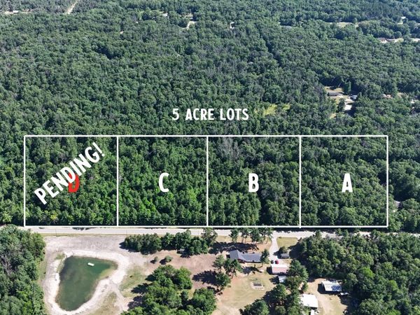 Par D W Almy Road, Howard City, MI 49329