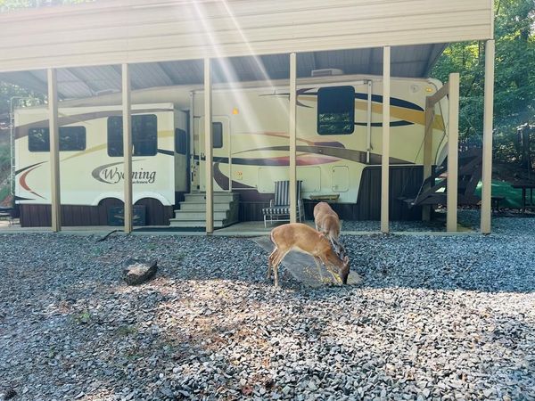 259 37th Street, Ellijay, GA 30540