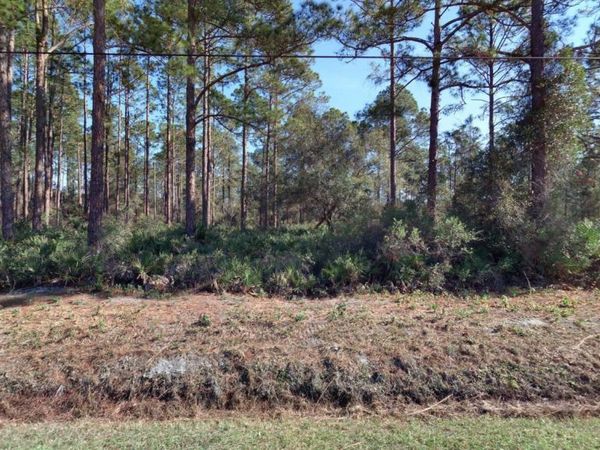 10560 BECKENGER Avenue, Hastings, FL 32145