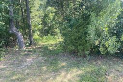 115 Beacon Point Road photo 4