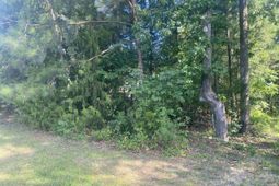 115 Beacon Point Road photo 4