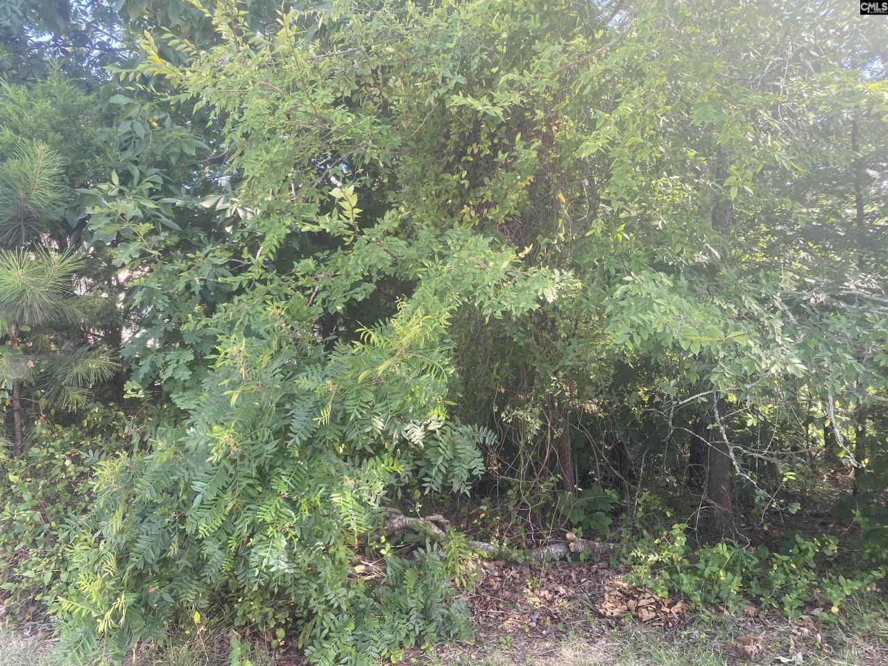 115 Beacon Point Road Photo 4