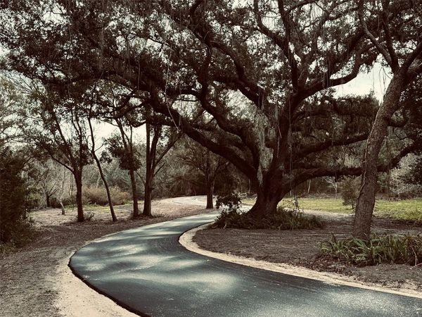 1676 HERMOSA DRIVE, PALM HARBOR, FL 34683