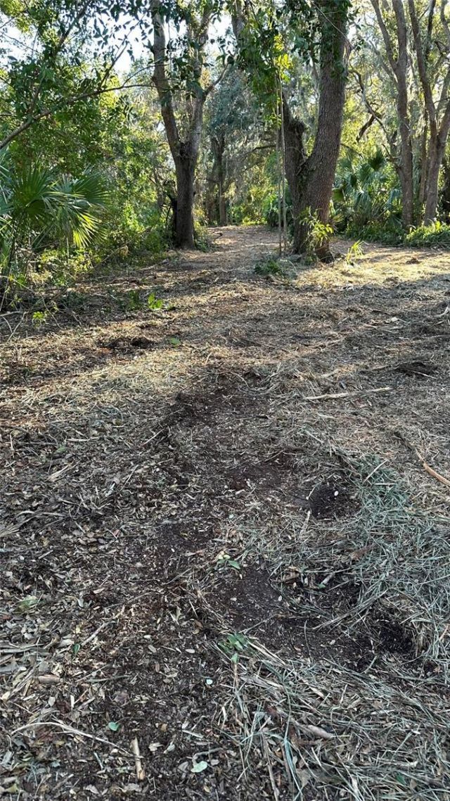 1676 Hermosa Drive, Palm Harbor, FL 34683 Photo