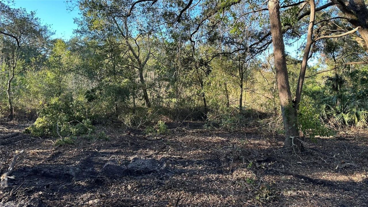 1676 Hermosa Drive, Palm Harbor, FL 34683 Photo