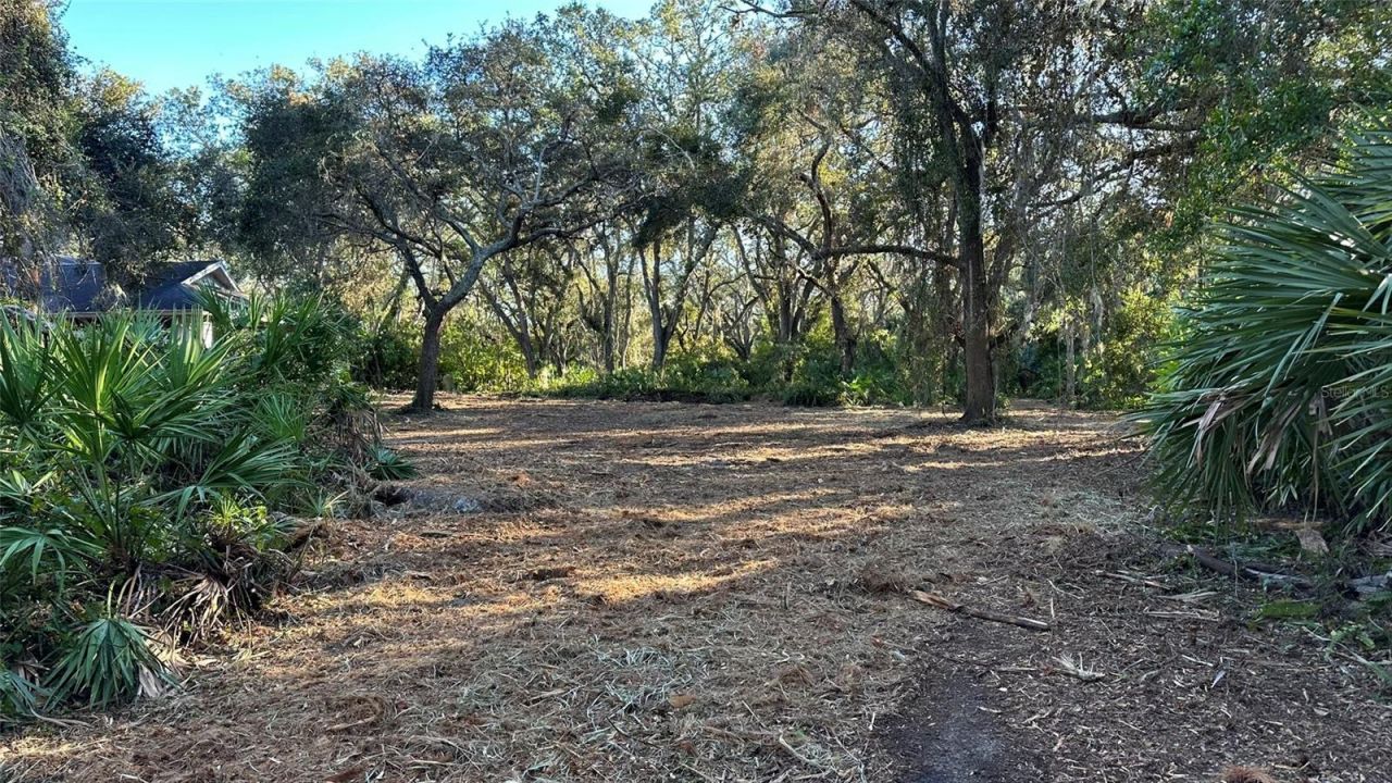 1676 Hermosa Drive, Palm Harbor, FL 34683 Photo