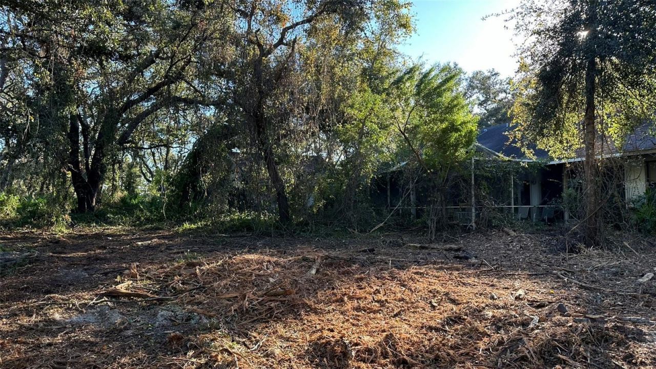 1676 Hermosa Drive, Palm Harbor, FL 34683 Photo