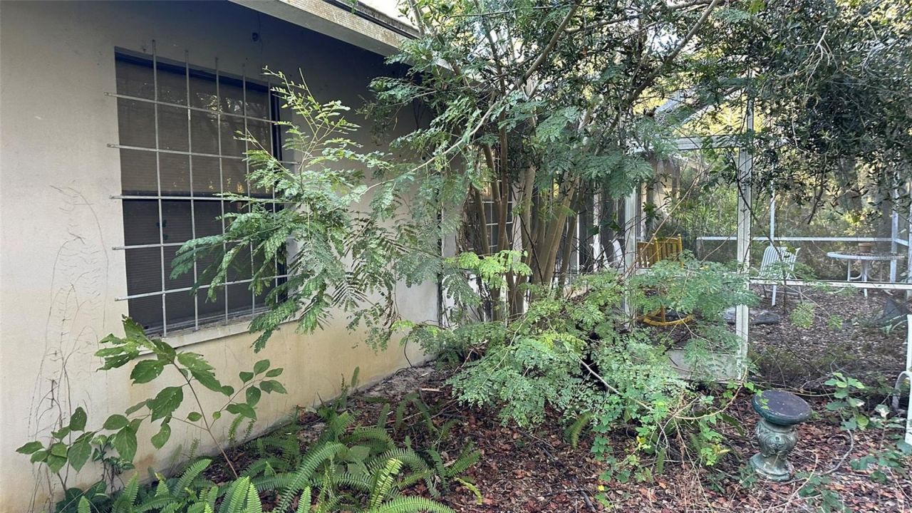 1676 Hermosa Drive, Palm Harbor, FL 34683 Photo