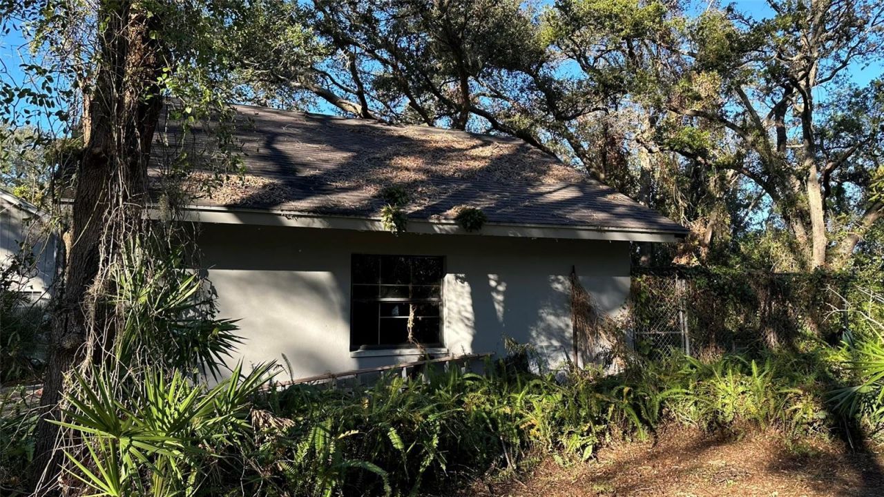 1676 Hermosa Drive, Palm Harbor, FL 34683 Photo