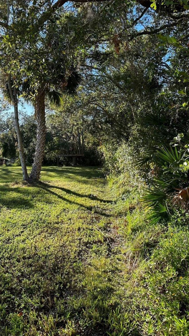 1676 Hermosa Drive, Palm Harbor, FL 34683 Photo