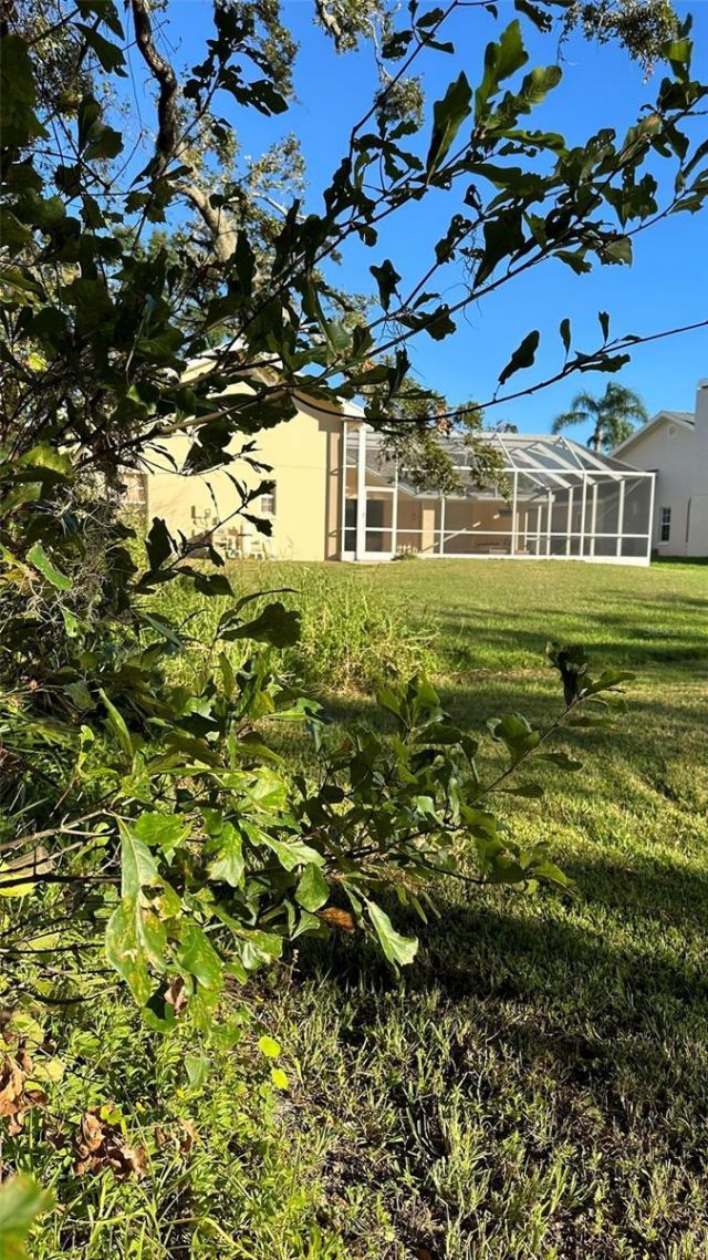 1676 Hermosa Drive, Palm Harbor, FL 34683 Photo