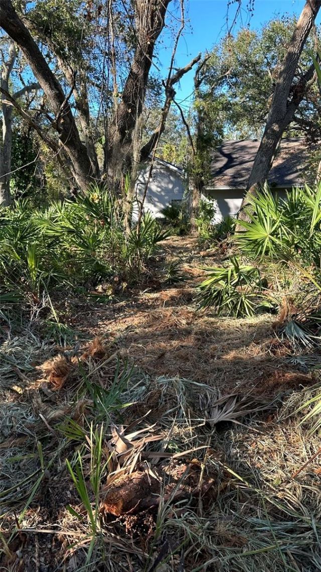 1676 Hermosa Drive, Palm Harbor, FL 34683 Photo