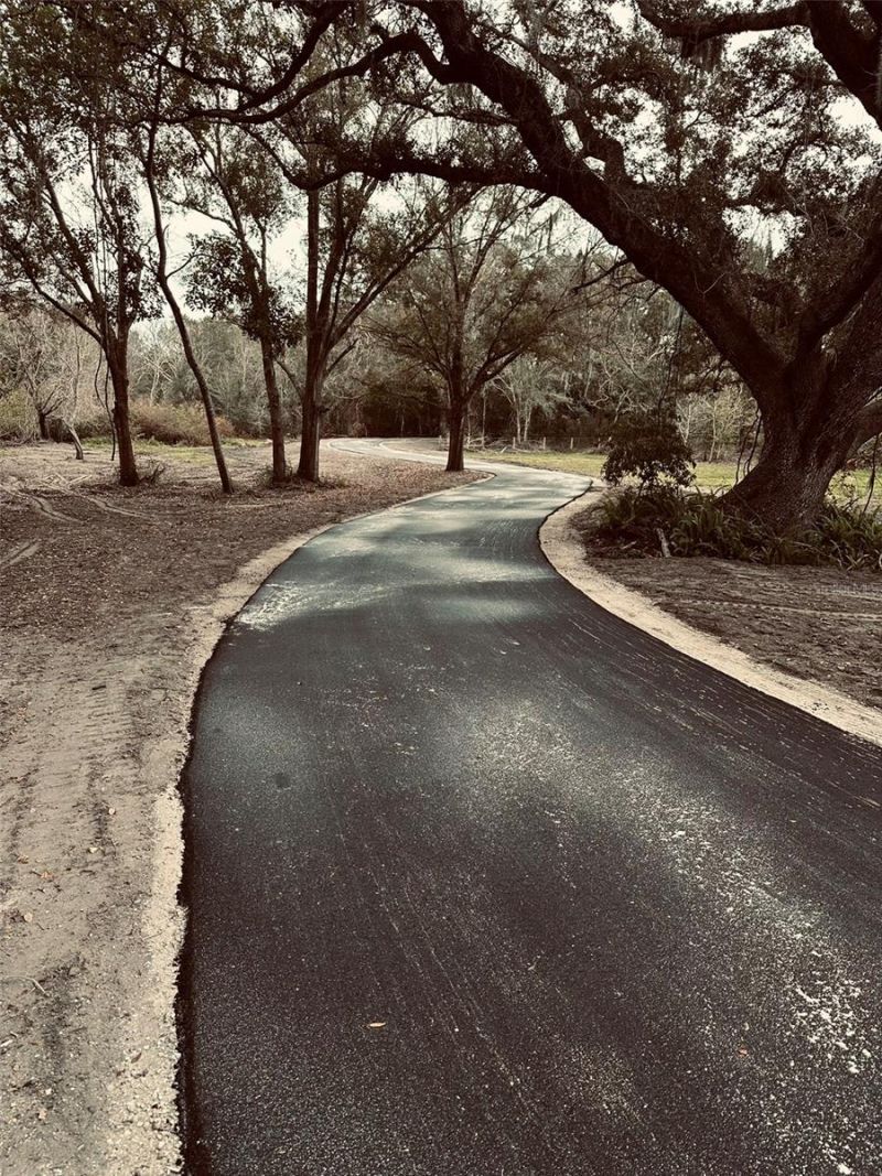 1676 Hermosa Drive, Palm Harbor, FL 34683 Photo