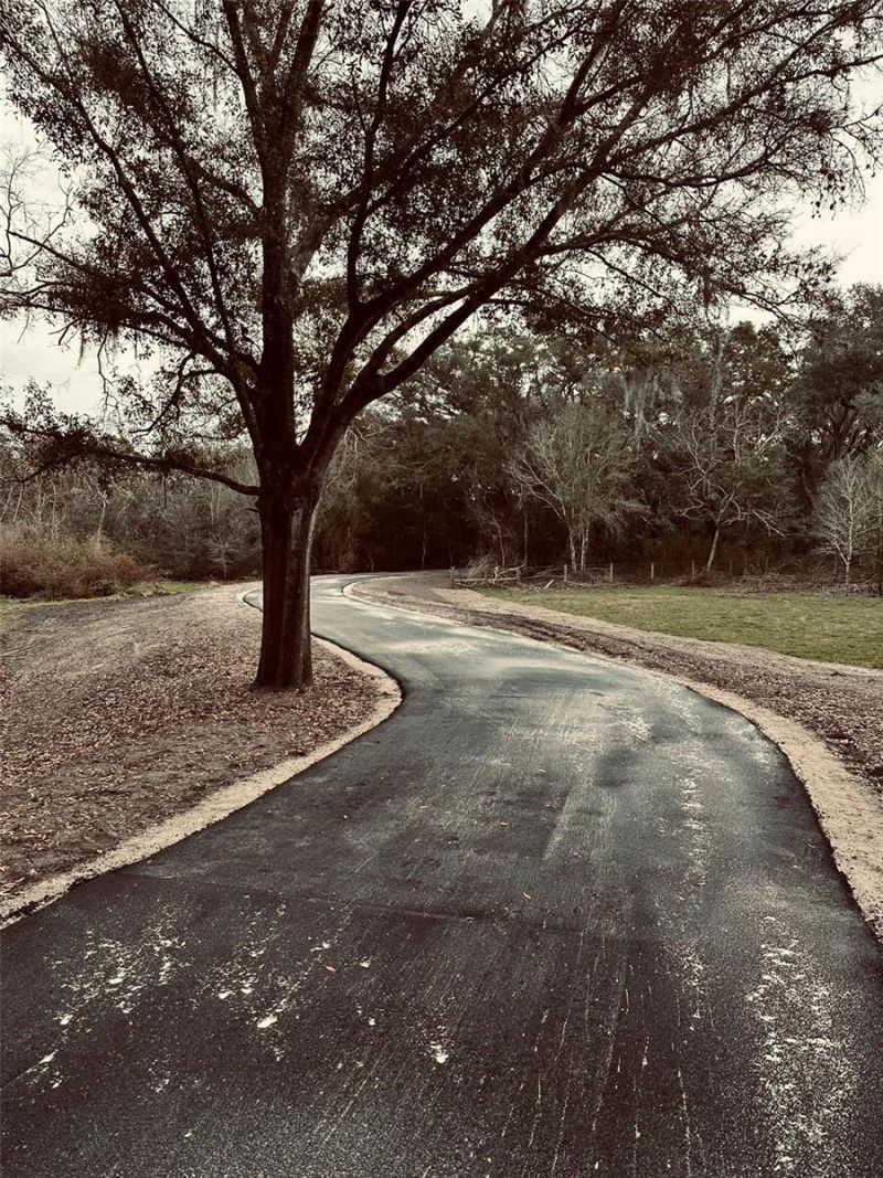 1676 Hermosa Drive, Palm Harbor, FL 34683 Photo