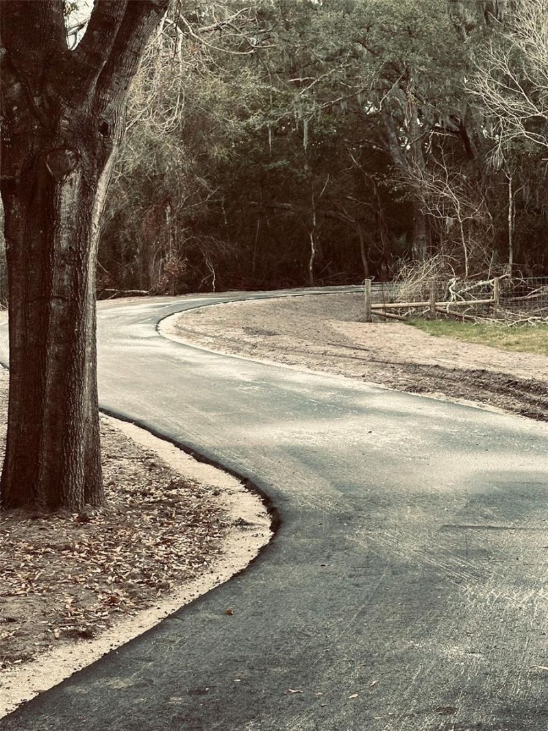 1676 Hermosa Drive, Palm Harbor, FL 34683 Photo