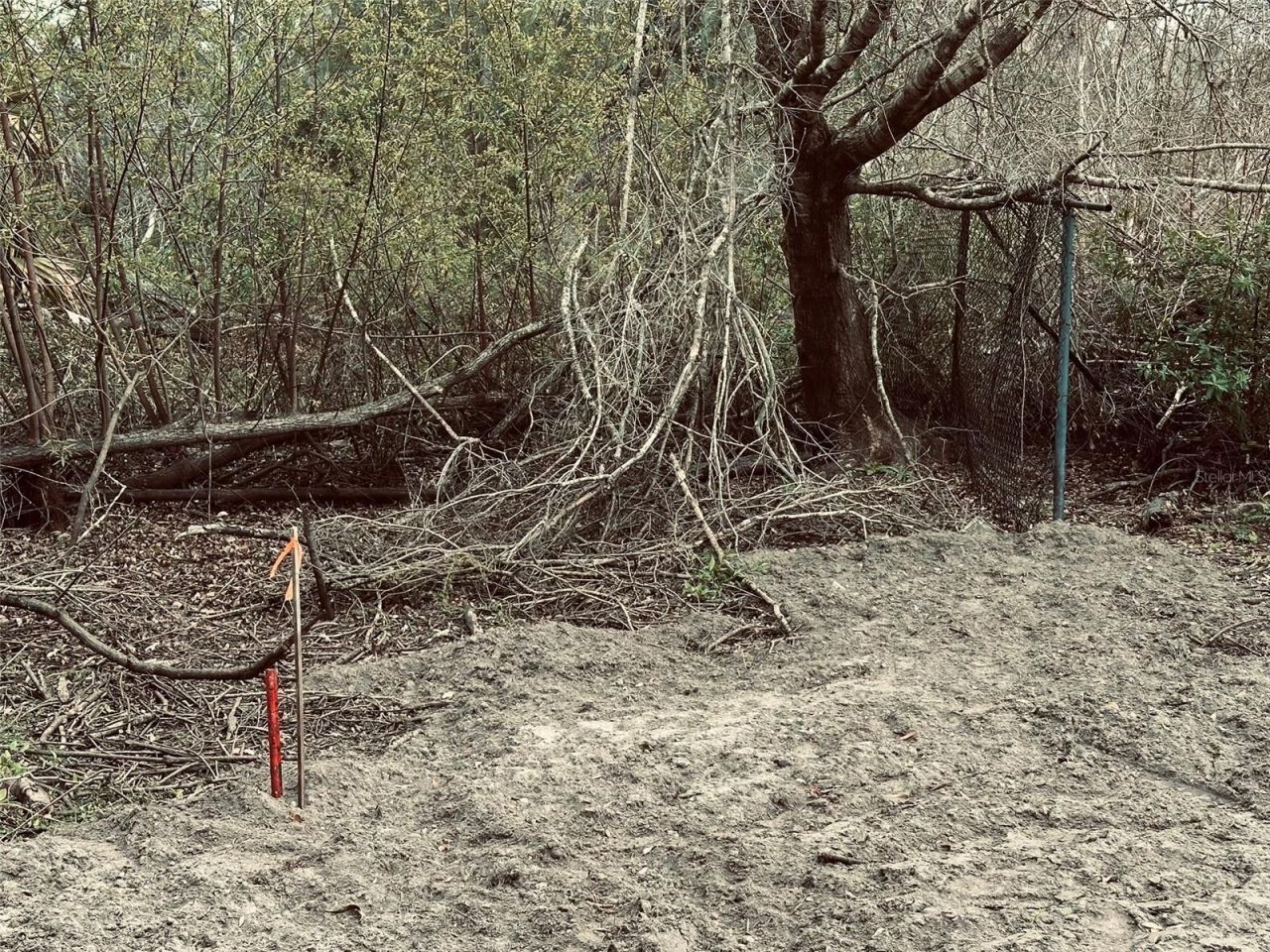 1676 Hermosa Drive, Palm Harbor, FL 34683 Photo