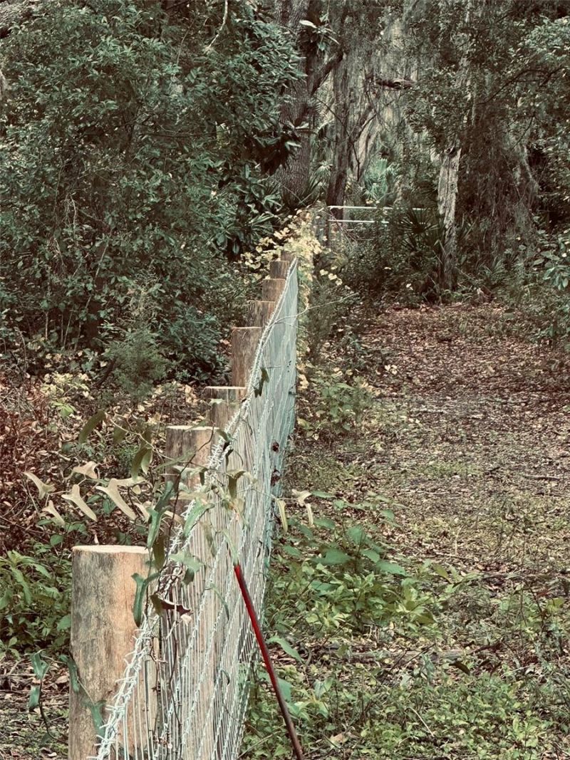 1676 Hermosa Drive, Palm Harbor, FL 34683 Photo