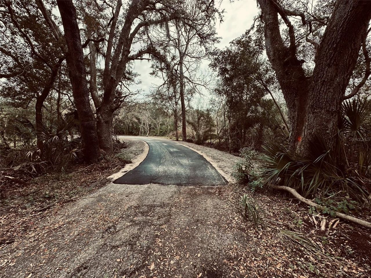 1676 Hermosa Drive, Palm Harbor, FL 34683 Photo