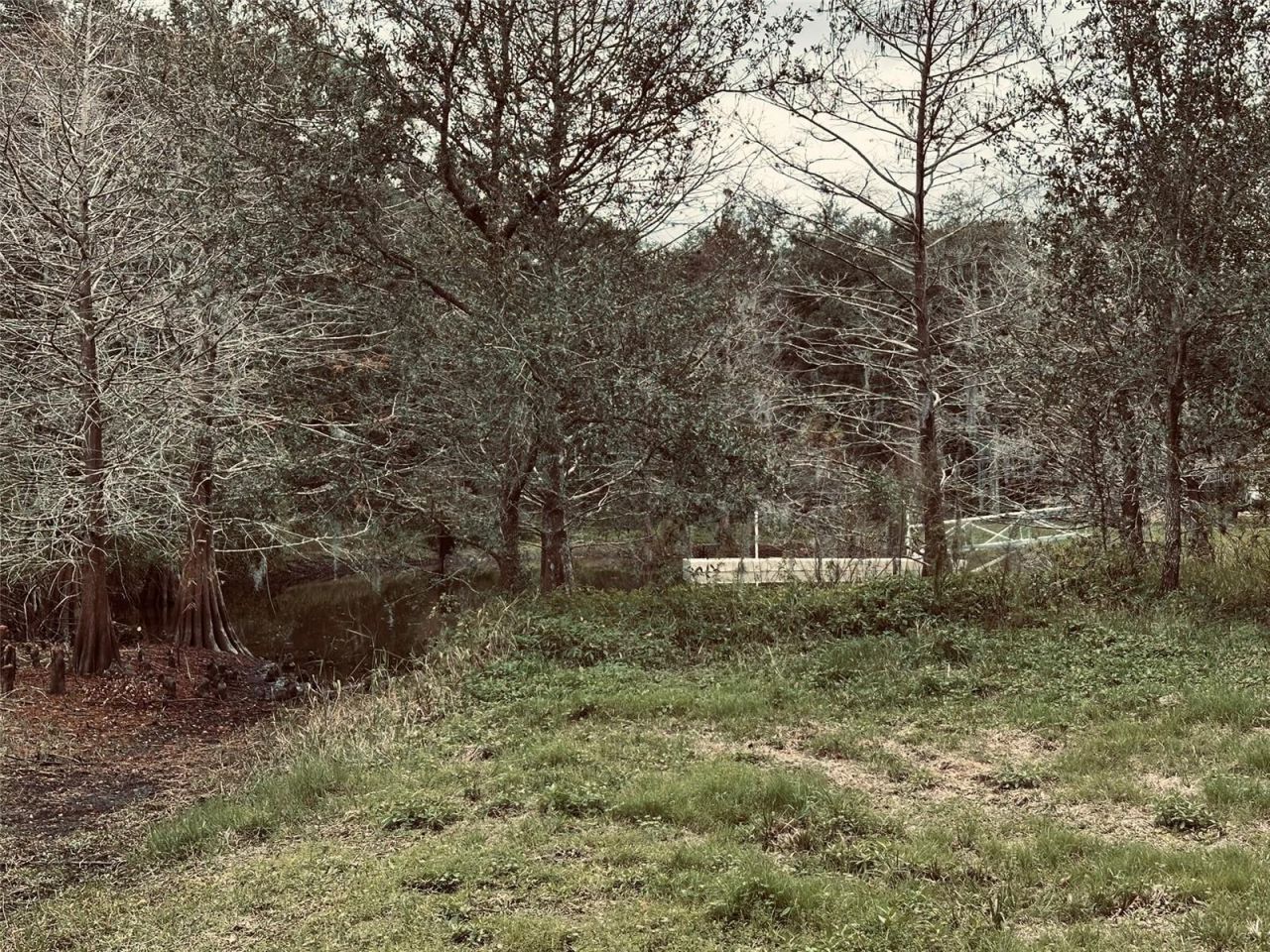 1676 Hermosa Drive, Palm Harbor, FL 34683 Photo