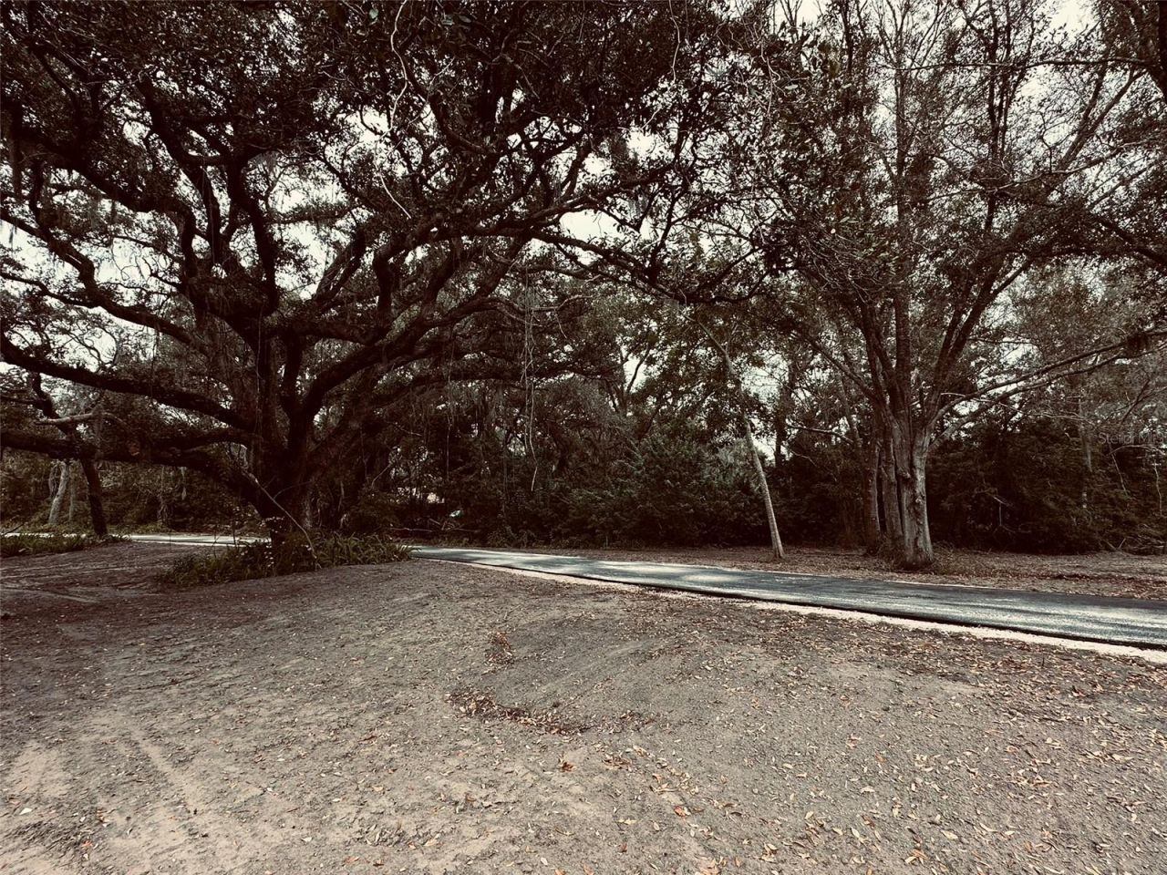 1676 Hermosa Drive, Palm Harbor, FL 34683 Photo