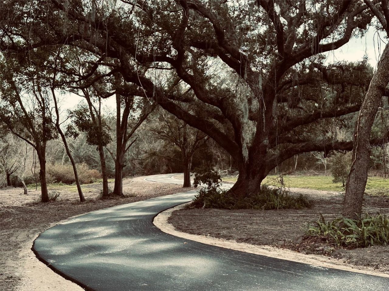 1676 Hermosa Drive, Palm Harbor, FL 34683 Photo