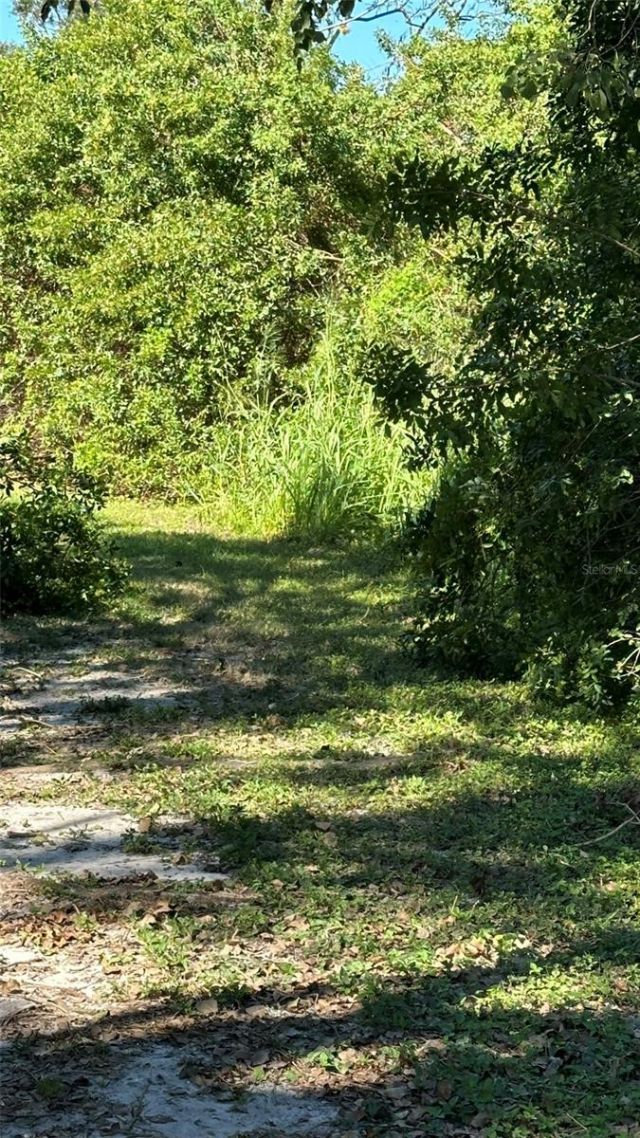 1676 Hermosa Drive, Palm Harbor, FL 34683 Photo