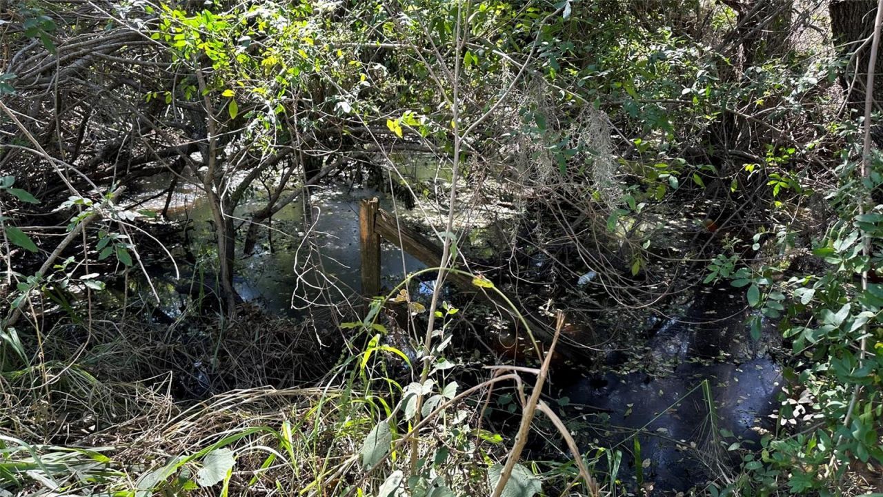 1676 Hermosa Drive, Palm Harbor, FL 34683 Photo