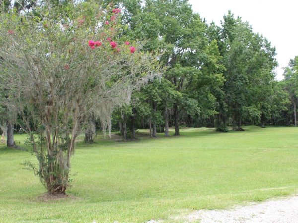 173 Dog Branch Rd, East Palatka, FL 32131